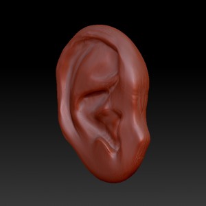 ZSketch of a human ear