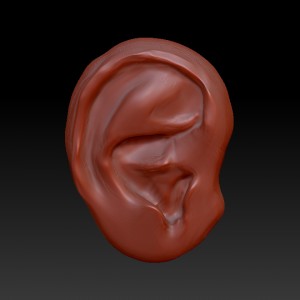 ZSketch of a human ear