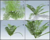 Speedtree Fern