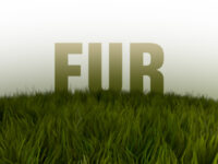 Fur as grass