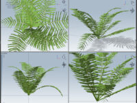 Speedtree Fern